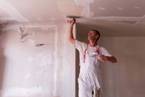 Professional Dry wall and painting in Reston, VA